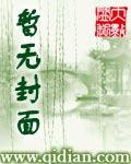 巫师书