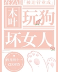 在木叶被迫营业成玩狗坏女人